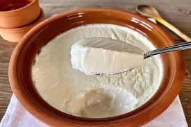 Yoğurt